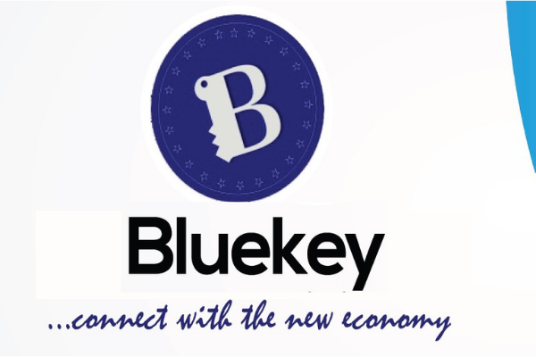 Bluekey: The Project That Will Make You Money