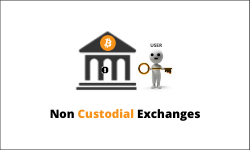 Non-Custodial Exchanges Simplified! – How They Work, Merits & Demerits