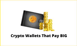 Cryptocurrency wallets that pay high interest