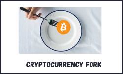 Cryptocurrency fork - 2021 Review