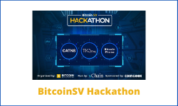 BSV Hackathon