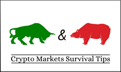 bull and bear markets