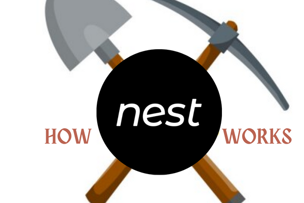 how nest protocol works