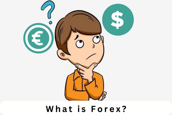 what is forex trading