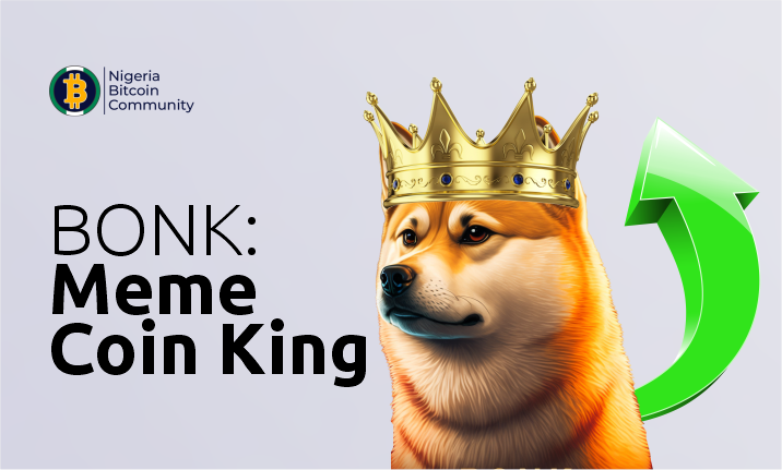 bonk-meme coin