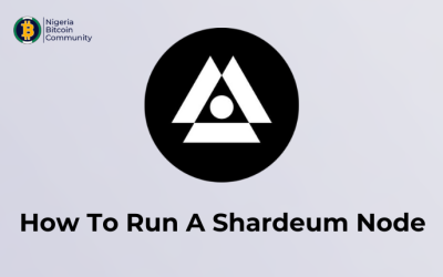 How To Make $10,000 Running A Shardeum Node: A Step-by-Step Guide