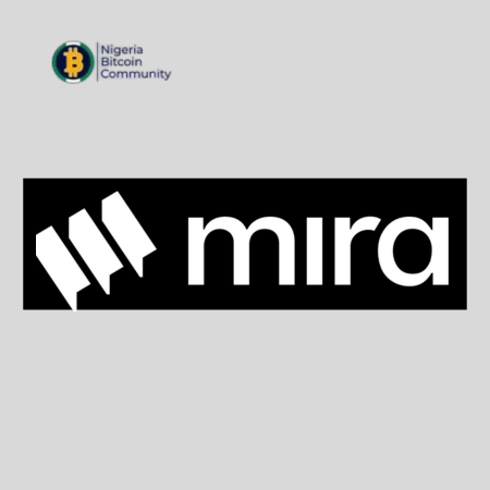 Mira Network, a DePIN project